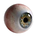 eyeball_2