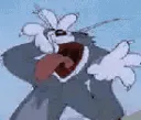 tomsilly
