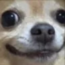 weirddog custom emote - Gaming Grid