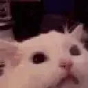 aaaah
