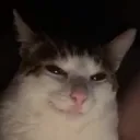 evil_thoughts