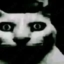 19FunnyPhotosProvingThatCatsAreB