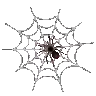 01spiderweb