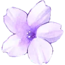 purpleflower