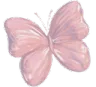 pinkcbutterfly