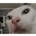 what