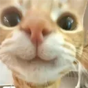 Happy
