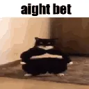 catightbet