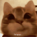 937042hmpppcat Discord sticker | Mellowden