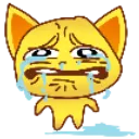 CATSOB