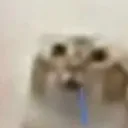 FL_anim_Proxey