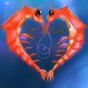 shrimplove