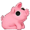 ScootPig