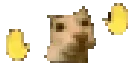 67