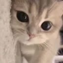 nhi