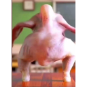 Screenshot20250224145530 Discord Emoji | Kimi's Touching List