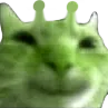 glorpcatsmile