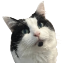 Murphy Discord emoji