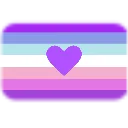 trans4trans trans4trans