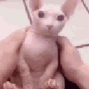 fastbingus