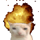 boomcat