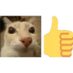 gatok Discord emoji