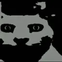 darcc_cat darcc_cat