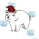 2025dec_polar