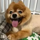 teddyaloy