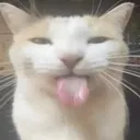 blep