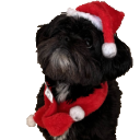 XmasDex Discord emoji