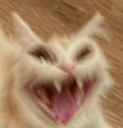 :NC_AWASLOYA: