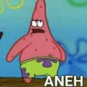 :NC_Aneh: