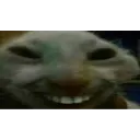 xdd