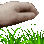 touchgrass