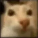 TonotoHD
