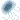 5_jellyfish