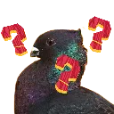 PigeonConfuse