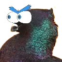 PigeonWT