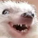Ola