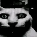 scarycat
