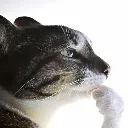 ponder ponder