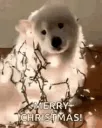 emoji_70