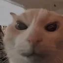 frown