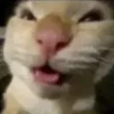 SP_adi_muhehehehehe