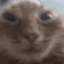 muh