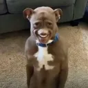 freaky