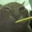 buhblunt buhblunt
