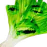 LEAKED