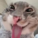 emoji_11